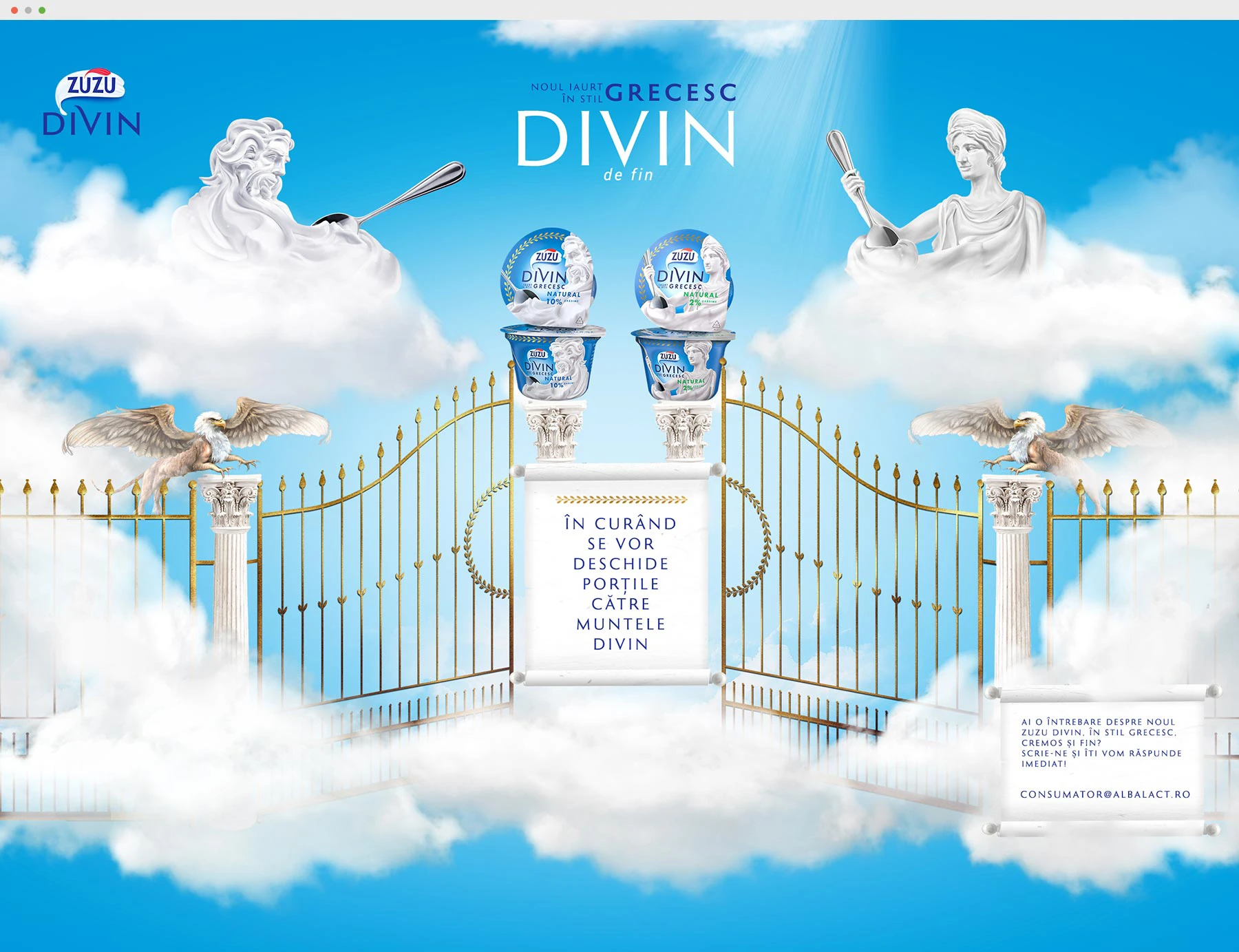 Zuzu Divin digital product — Daniel Movileanu